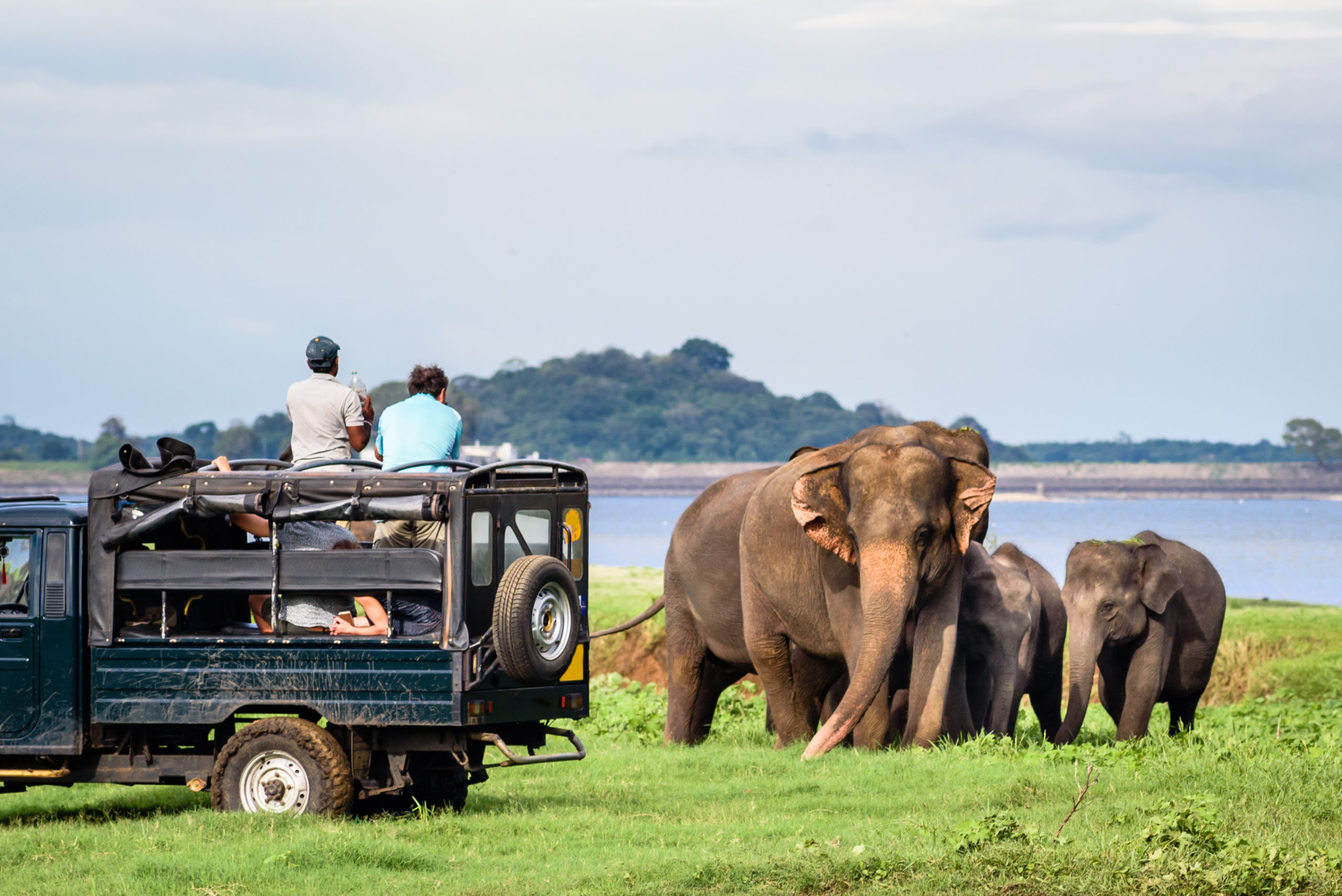 Lanka Big Five Kids