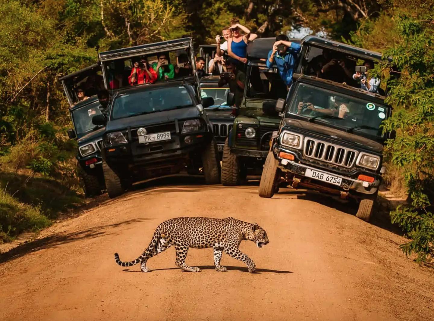 Adventure Tour