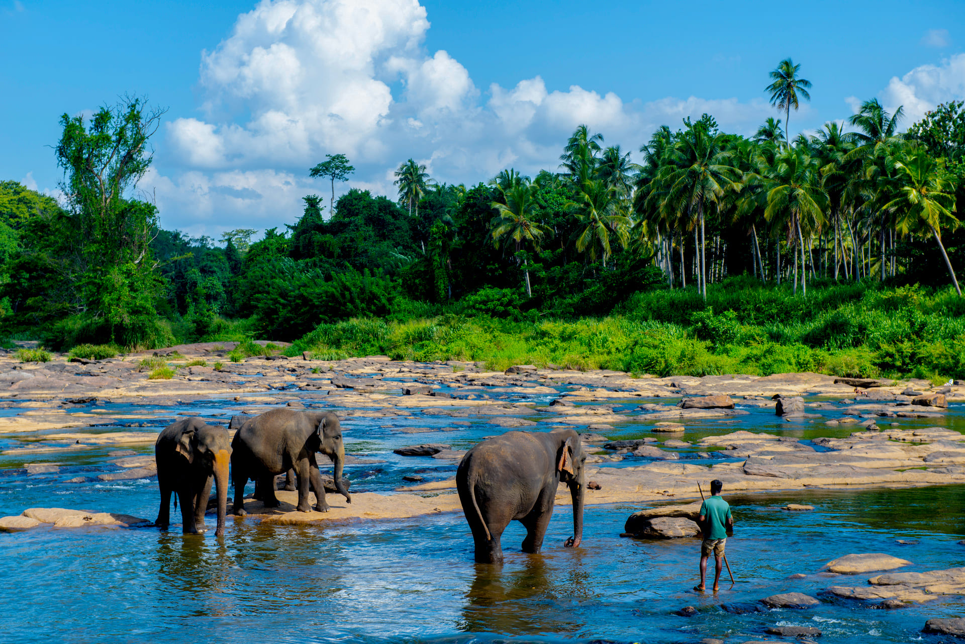 Pearl Pathway Sri Lanka